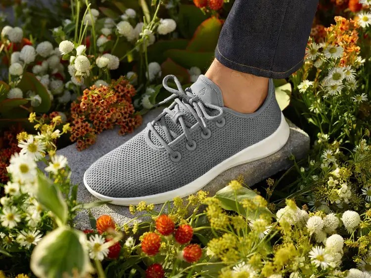 Allbirds Tree Runners