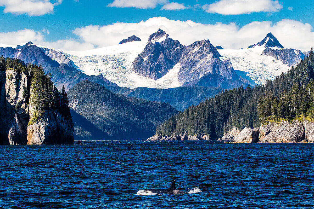 Beautiful lake and mountain in Kenai Fjords, Alaska