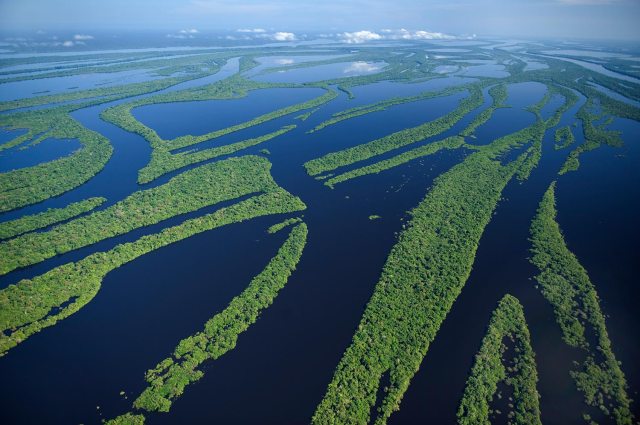 Flooded forest, Aerial of Anavilhanas Archipelago, Amazonia BRAZIL