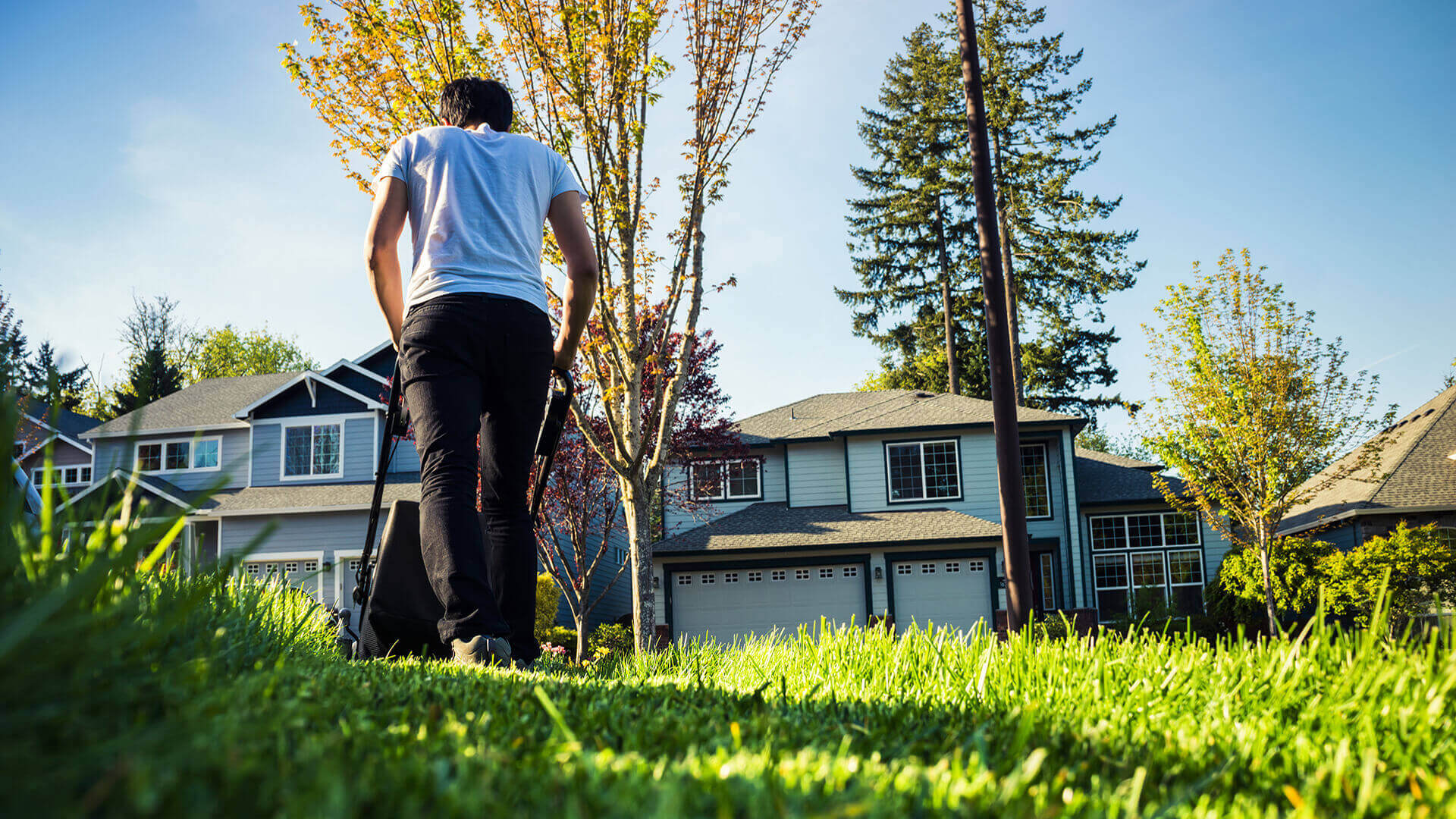 Person using Electric Lawnmower