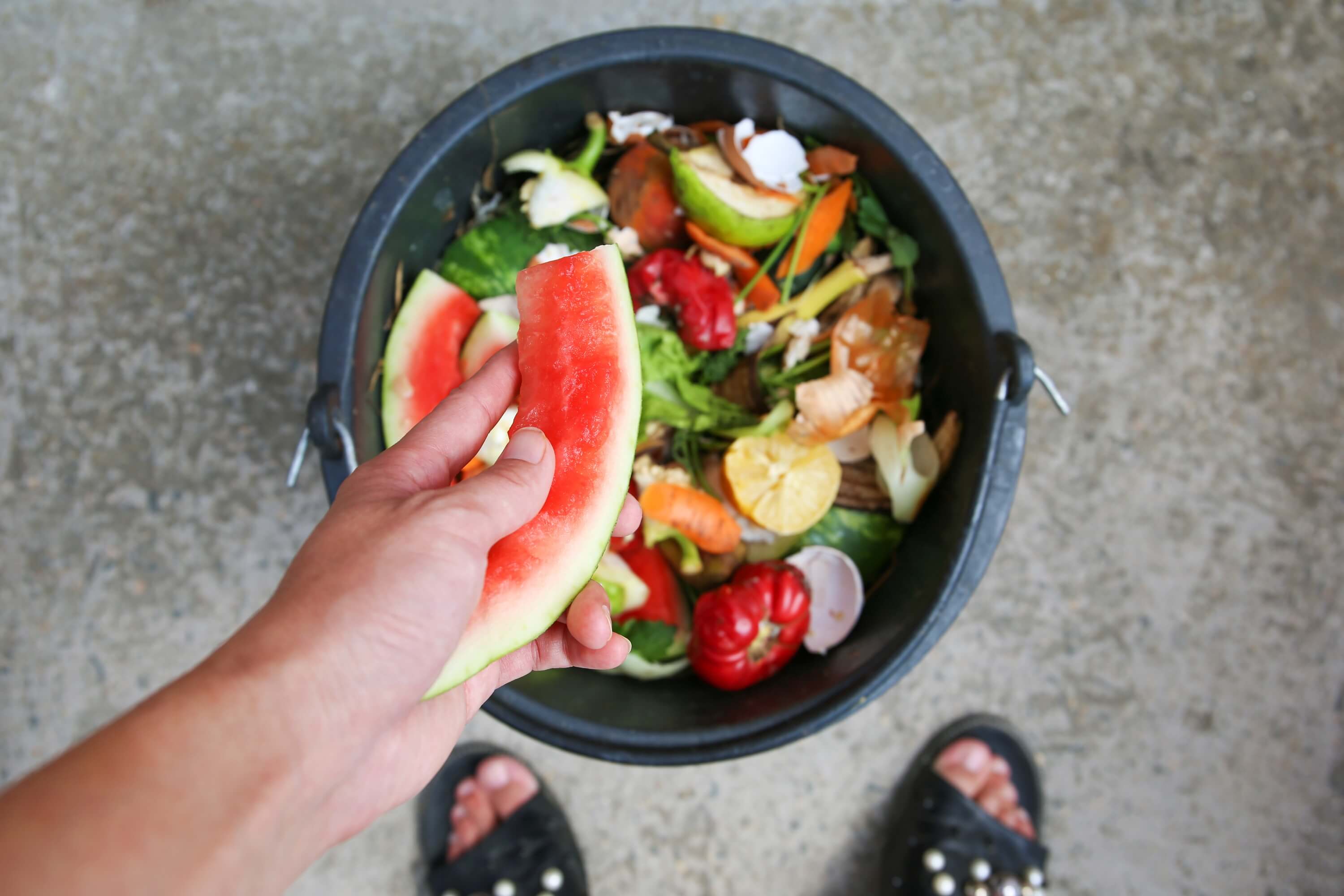 Food waste and composting eco-friendly swaps