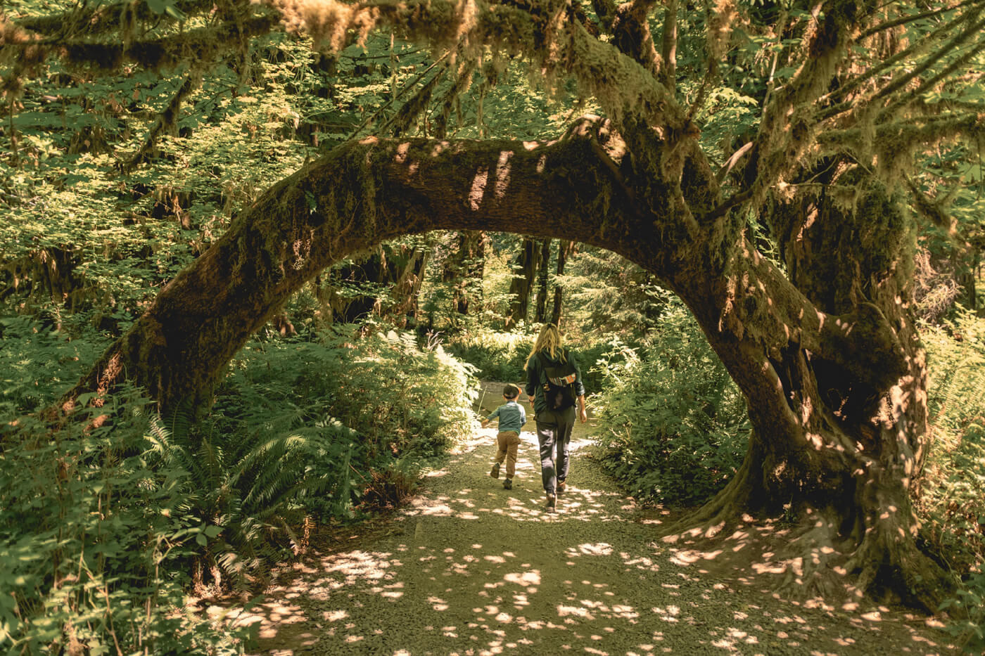 Olympic parks where kids can explore tidepools 