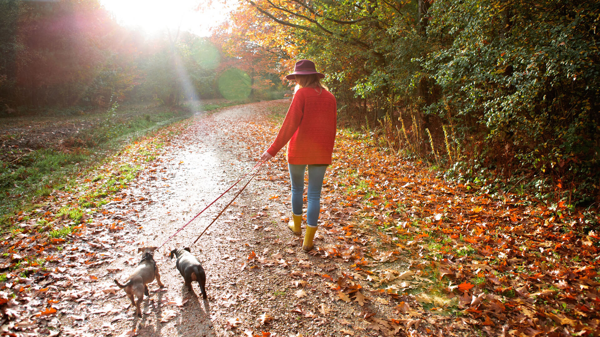 Pumpkin spice up your life with these Fall staples