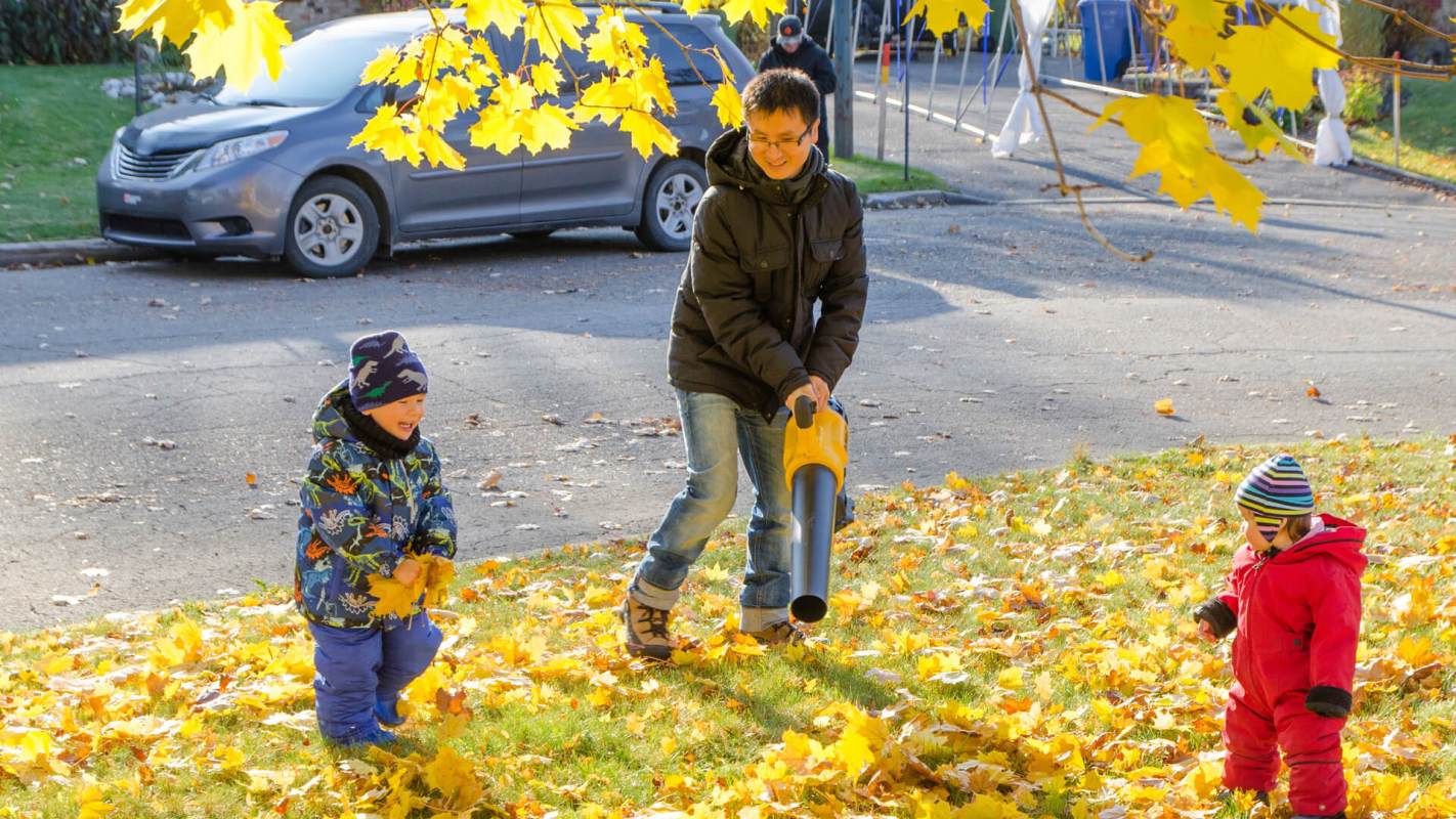 Electric leaf blower