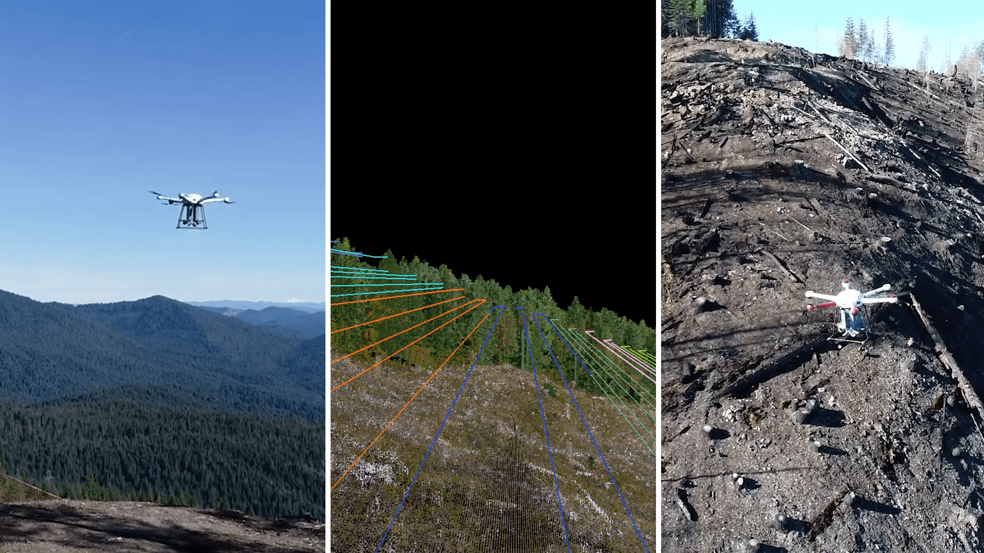 Company uses swarms of massive drones to replant forests