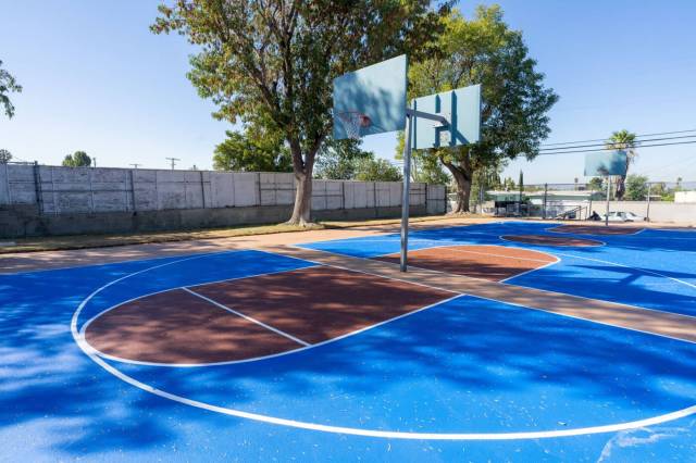 Reflective paint basketball