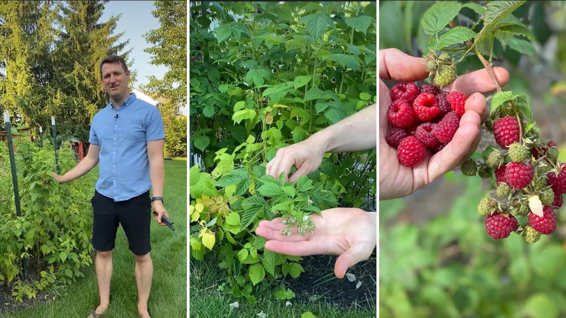 The Garden Family