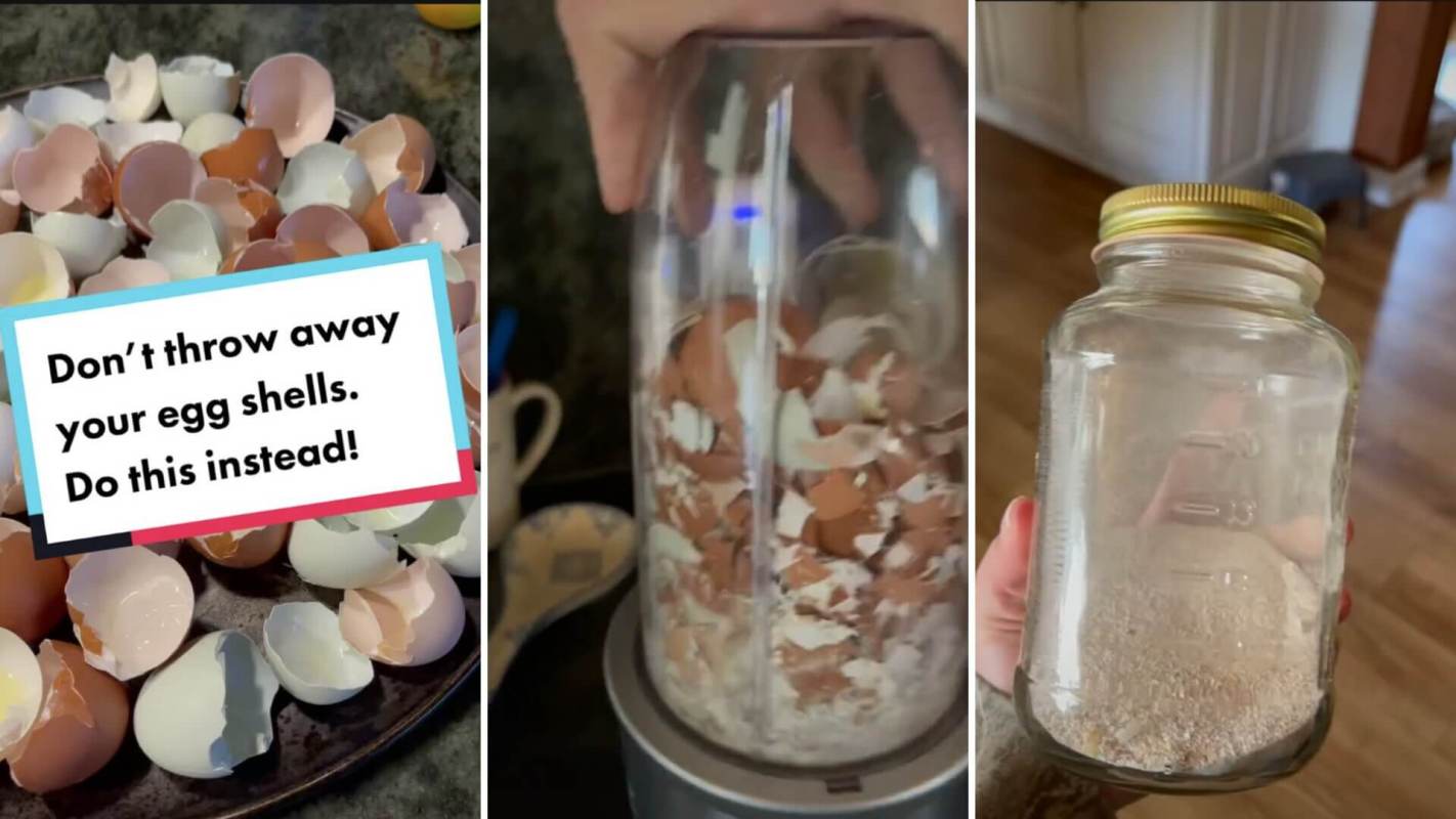 Genius hack for using eggshells