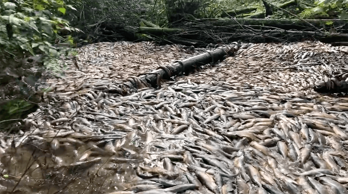 The drying up of Canada's Neekas River, extreme weather disasters