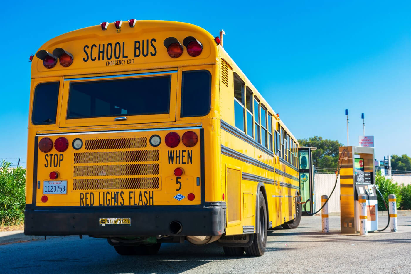 Electric School Buses