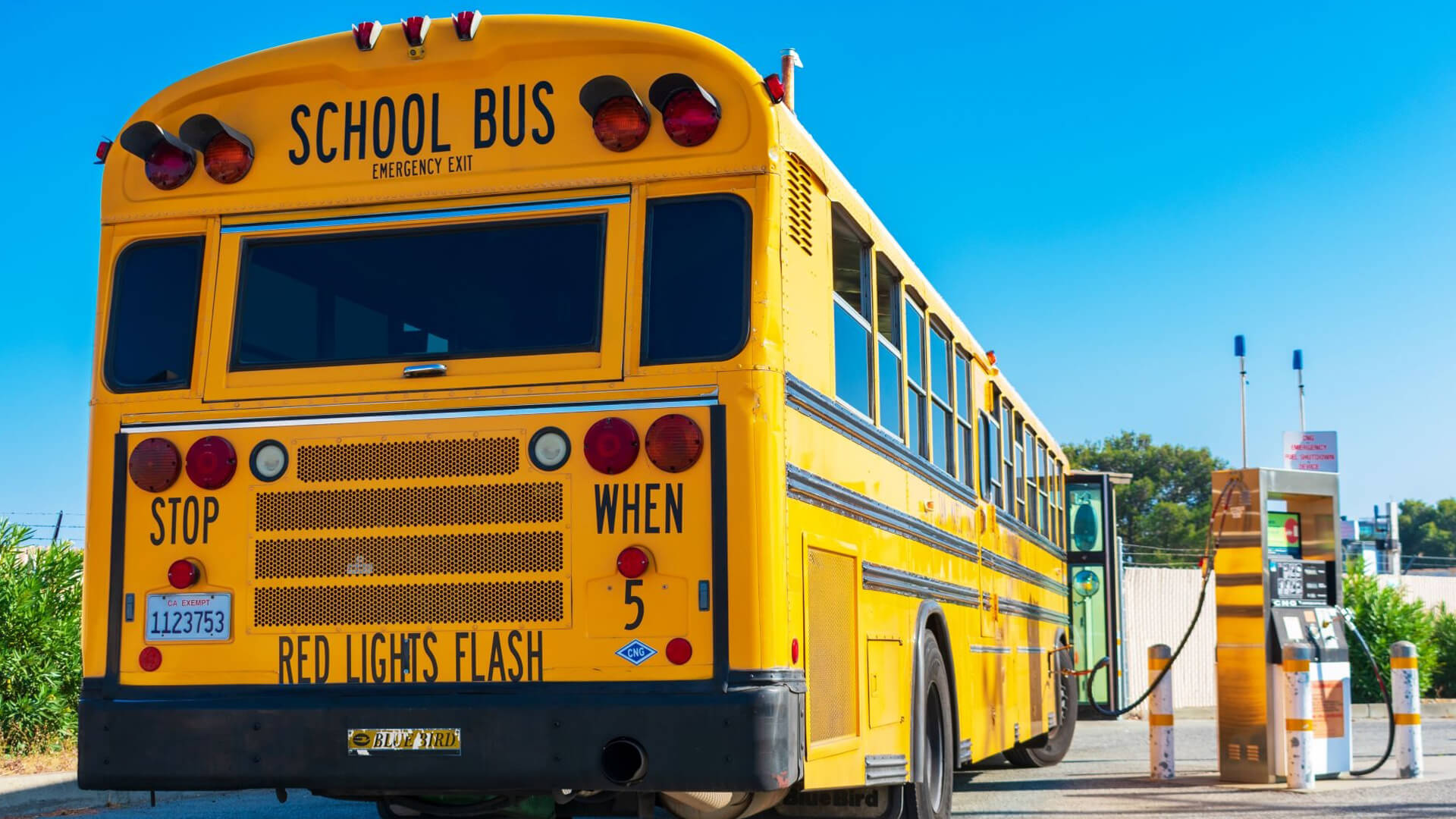 Electric school bus