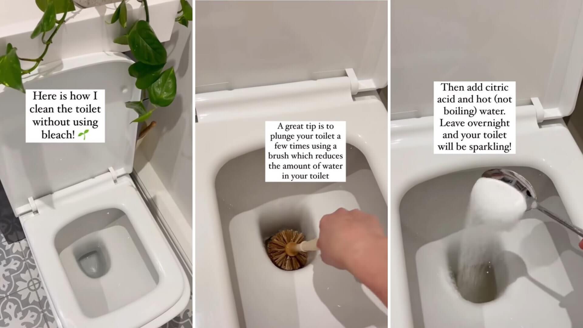 Toilet hack composite citric acid