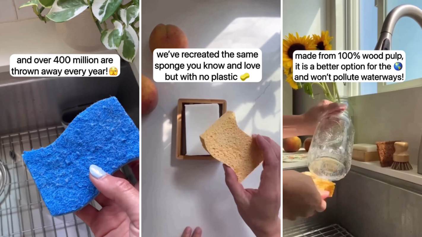 Plastic-free, biodegradable sponges