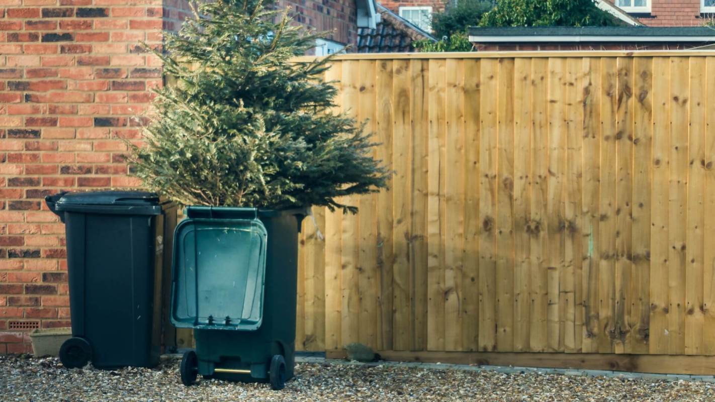 Christmas tree