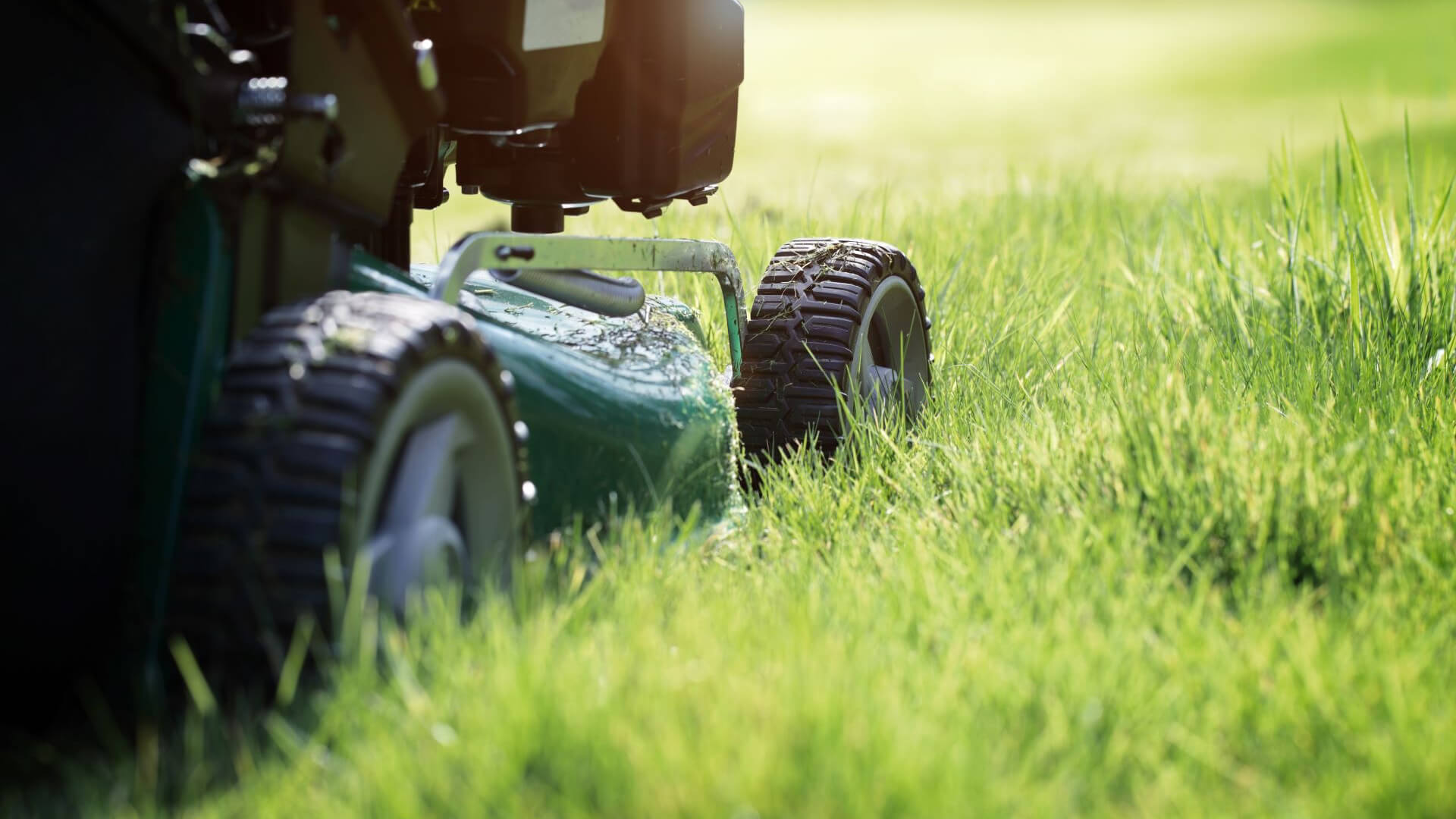 Electric lawn mower