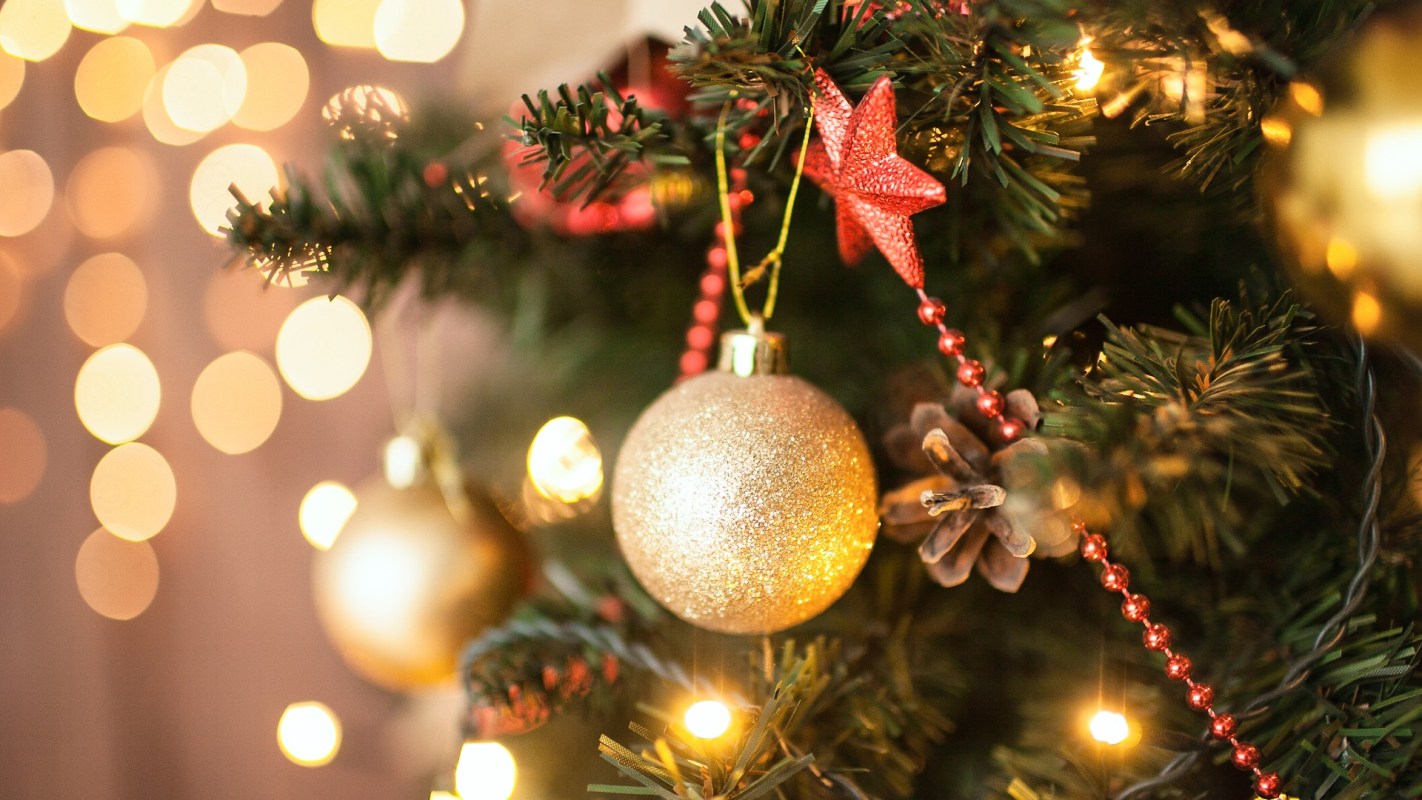 Rosemary for 'no-waste' Christmas tree: