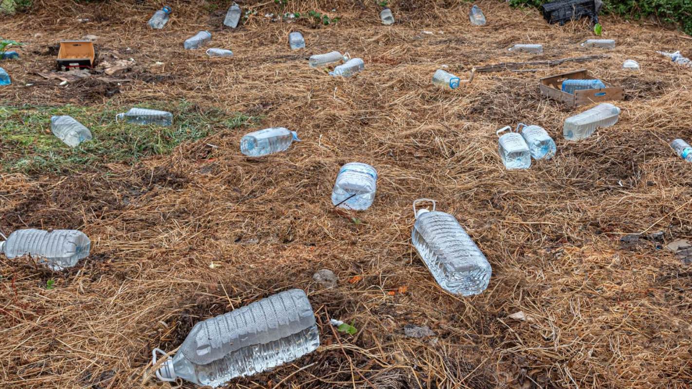Compostable plastic