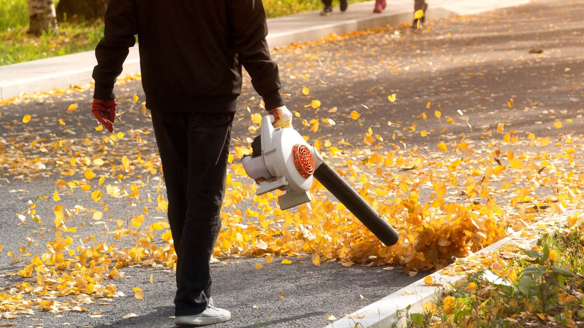 Electric leaf blowers