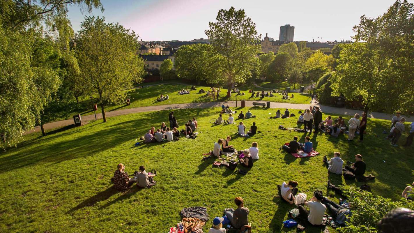 Park plants playground, Reduce air pollution on playgrounds