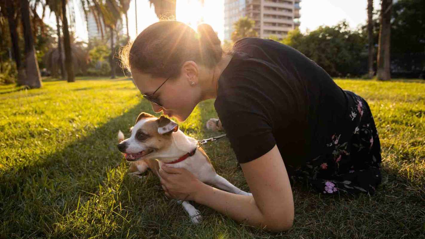 From non-toxic treats to plastic free toys, help keep your local dog park green and clean with some of our favorite eco-friendly pet products.