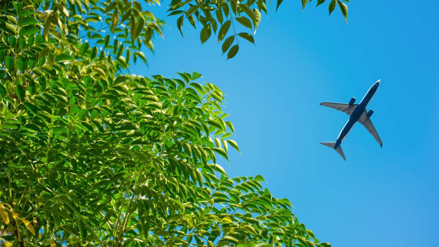 Arizona State University fuel U.S. flights with plants