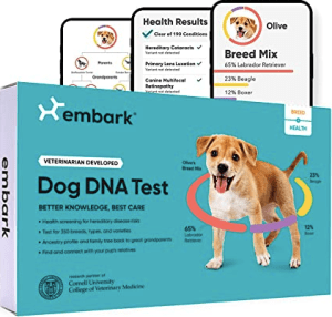 Dog DNA Test Kit