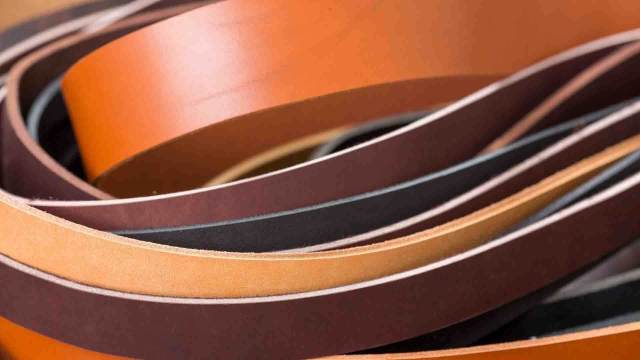 Vegan leather