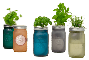 Mason Jar Indoor Herb Garden