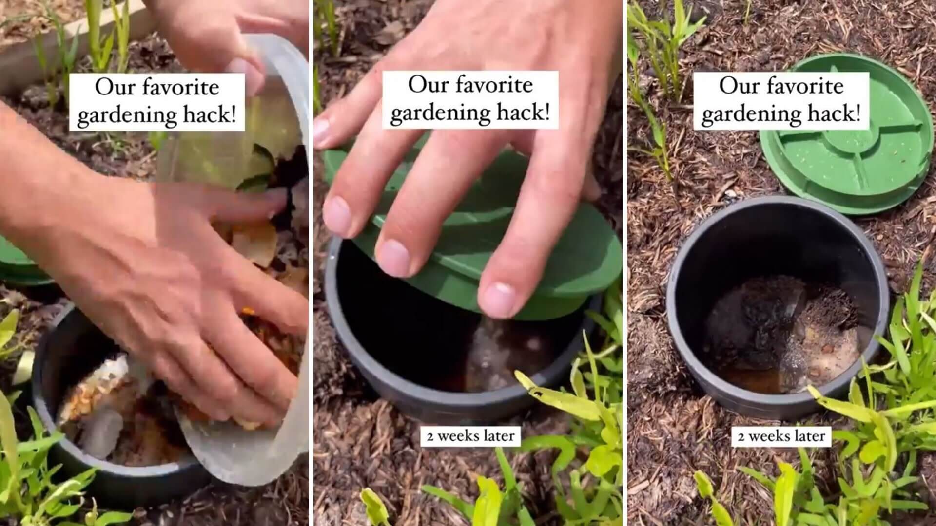 Backyard composting