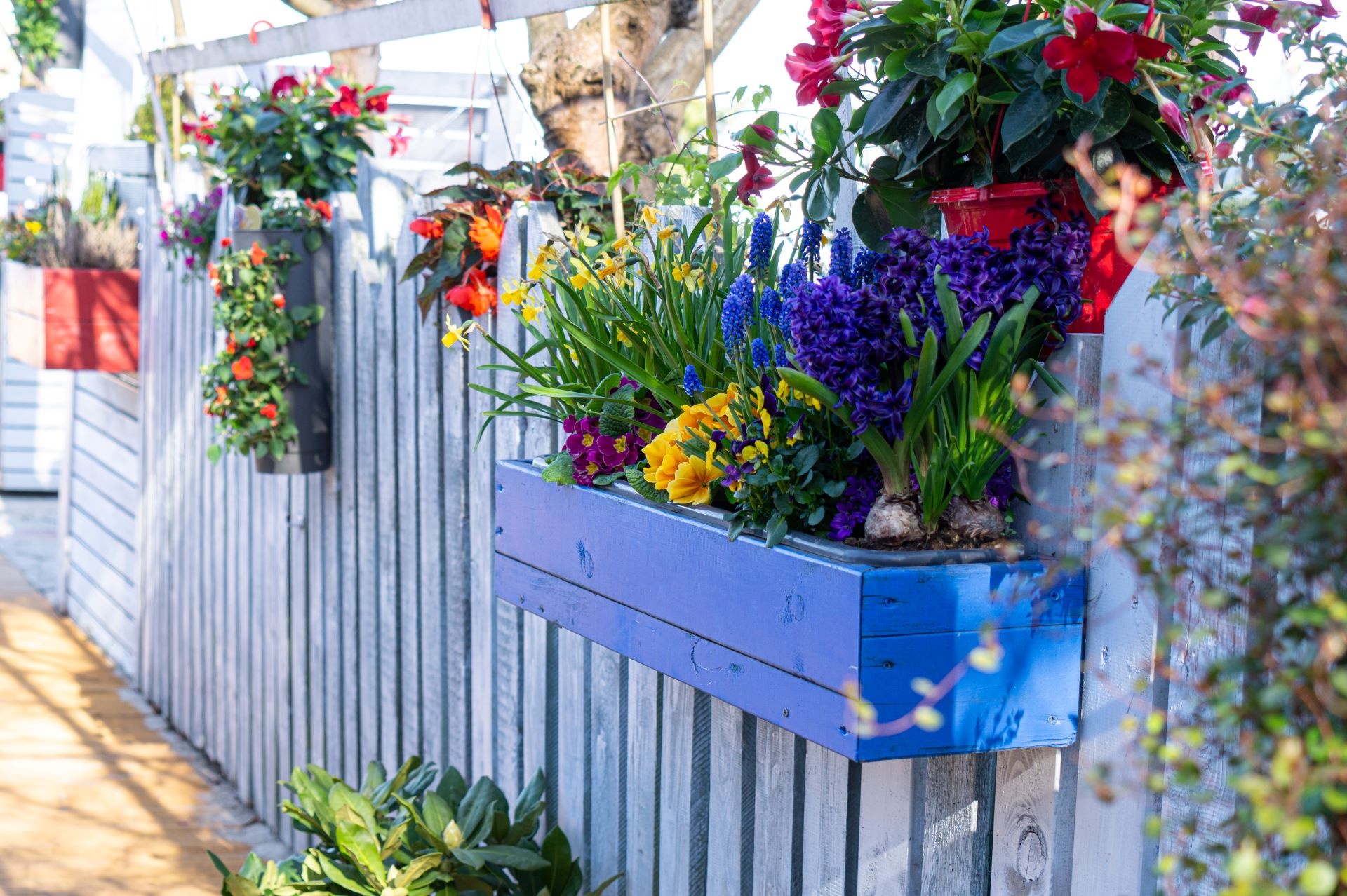 HOA Wooden planter box