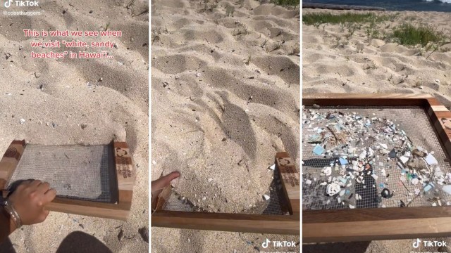 Hawai’i Beach Pollution