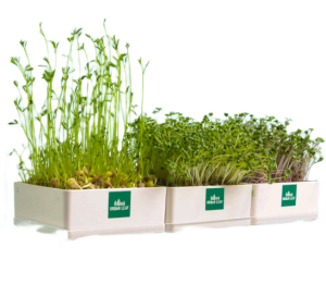 Microgreens Window Shelf