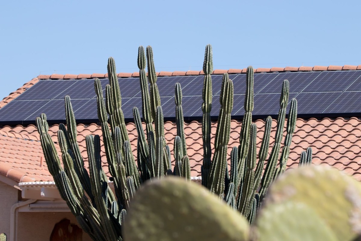 Solar panel in Colorado College, clean energy.