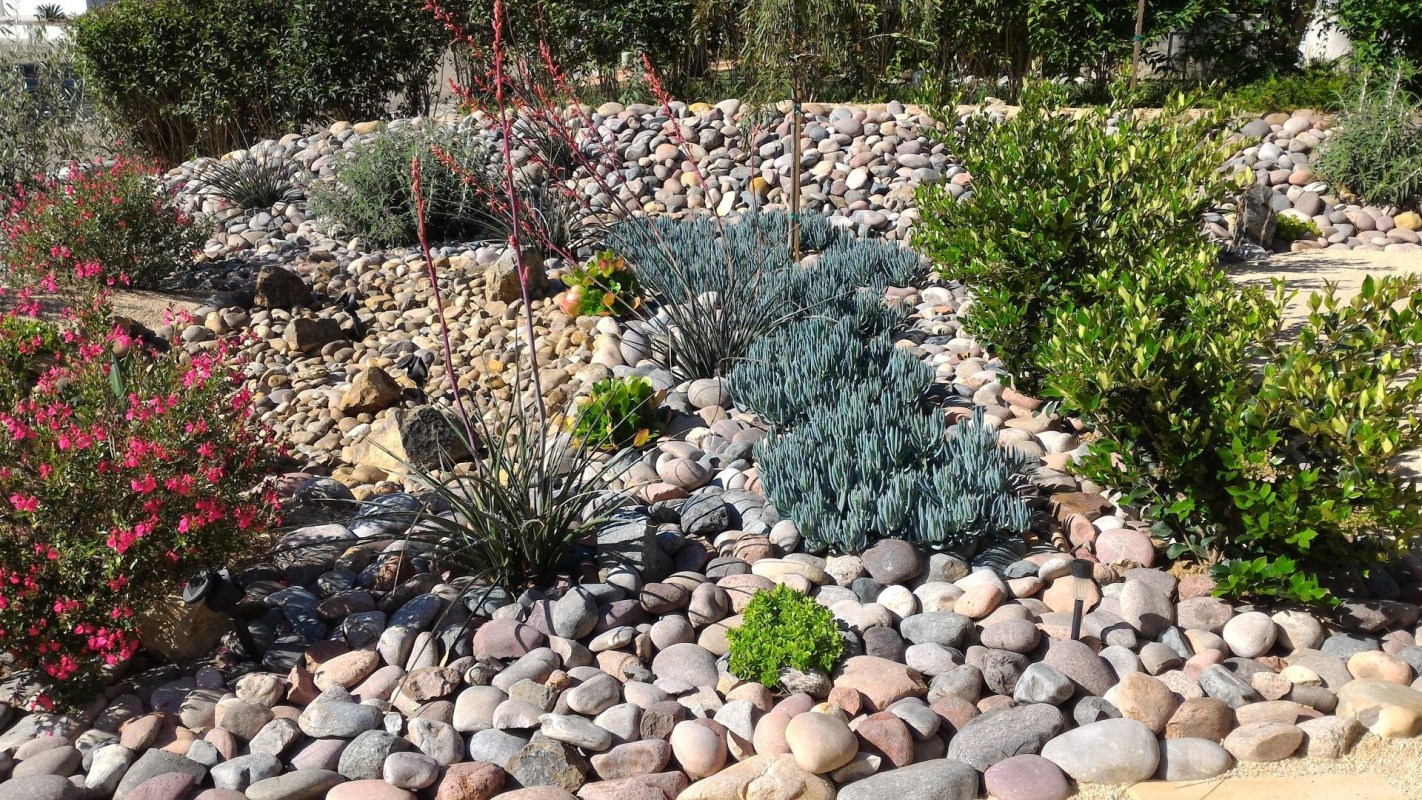 Drought-resistant landscaping