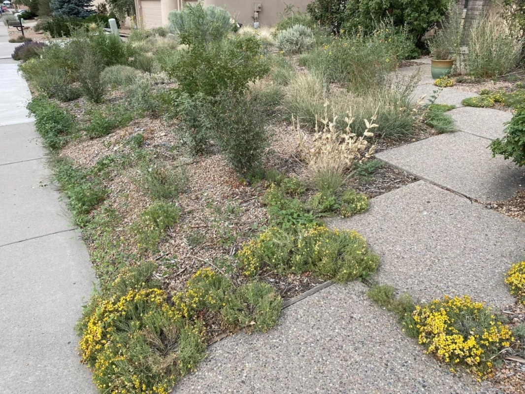 "Those native ecosystems are among the rarest in the country now."