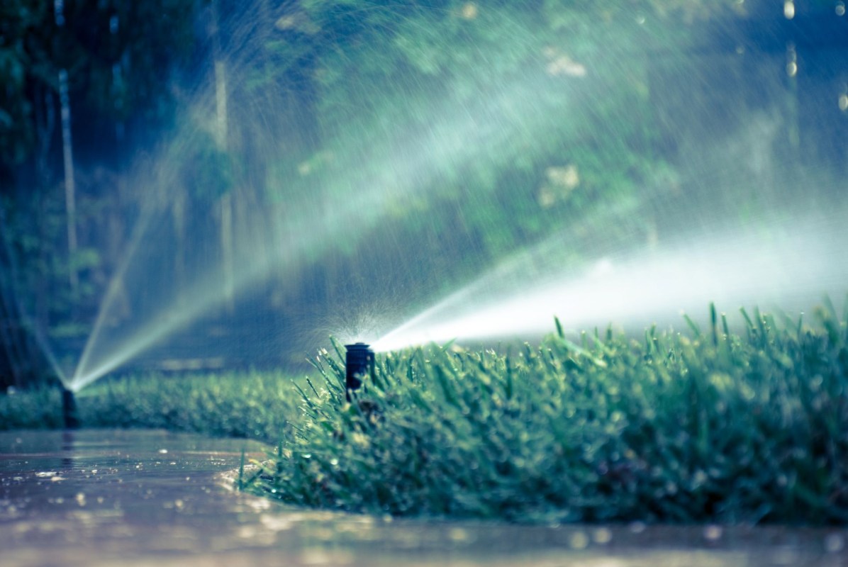 Clubhouse Watering