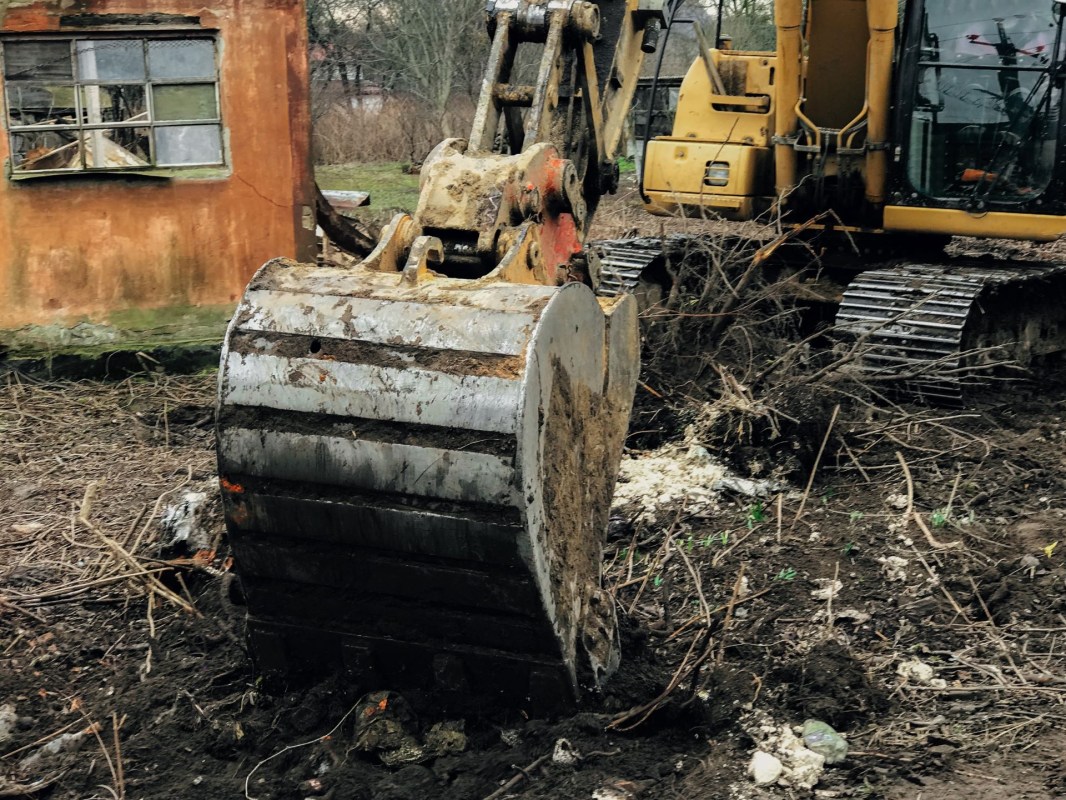 HOA renovation to remove trees