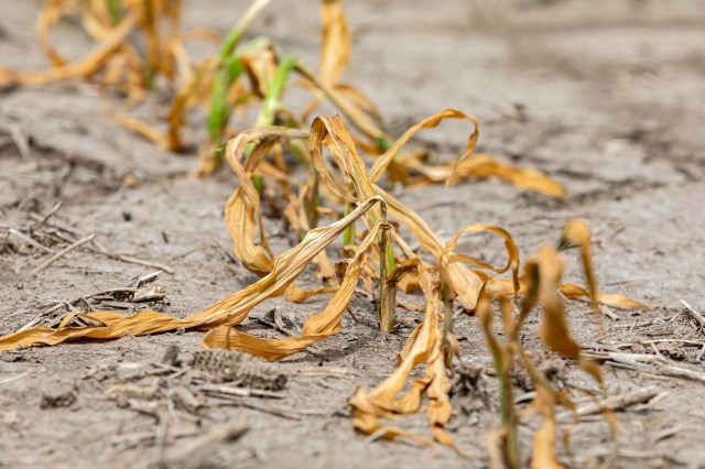 100th meridian cropland failing