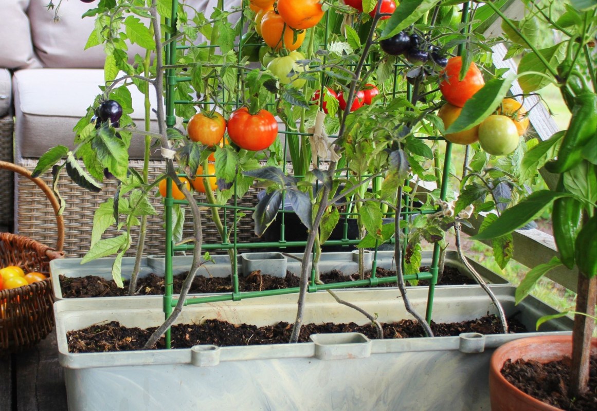 Raised garden beds