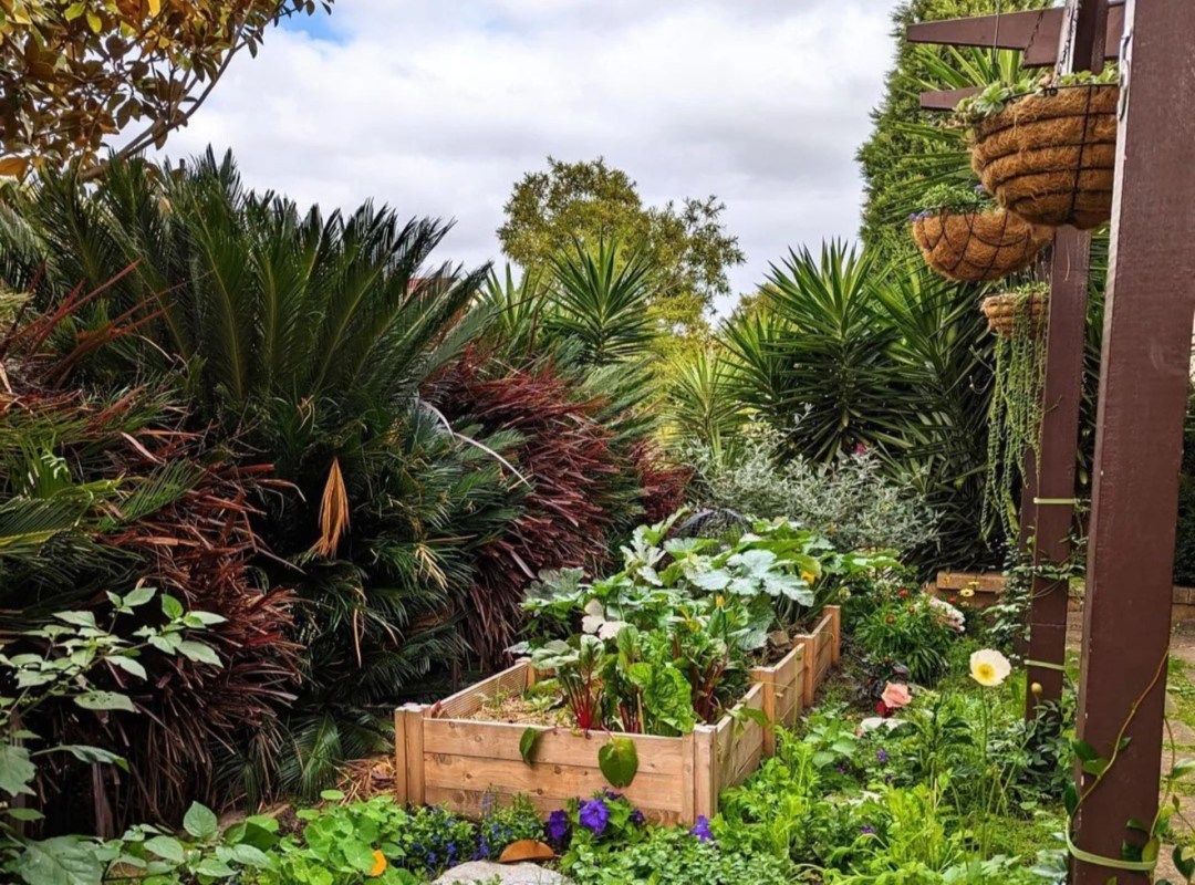 Garden paradise, Native plants yard