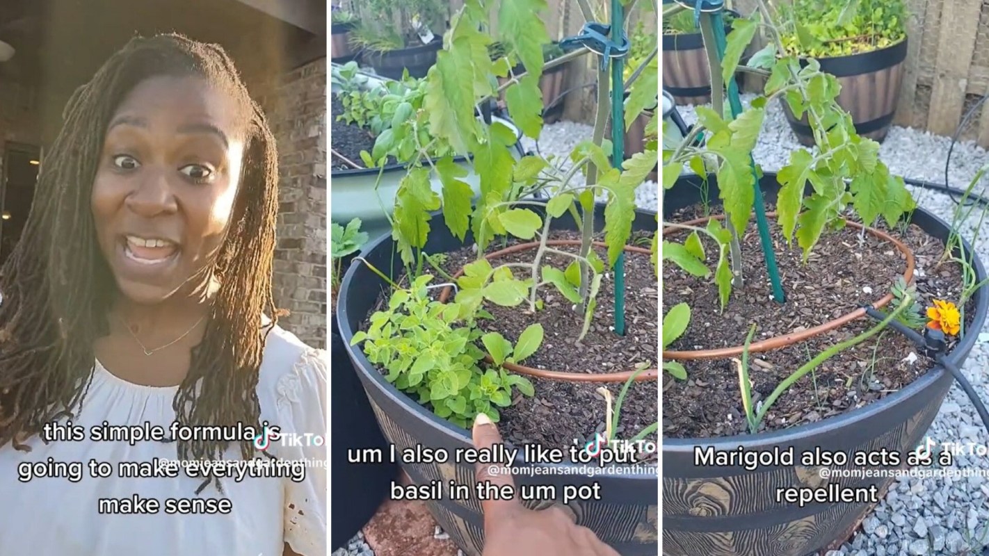 Companion planting for healthy gardens
