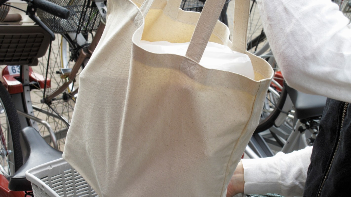 Reusable grocery bags