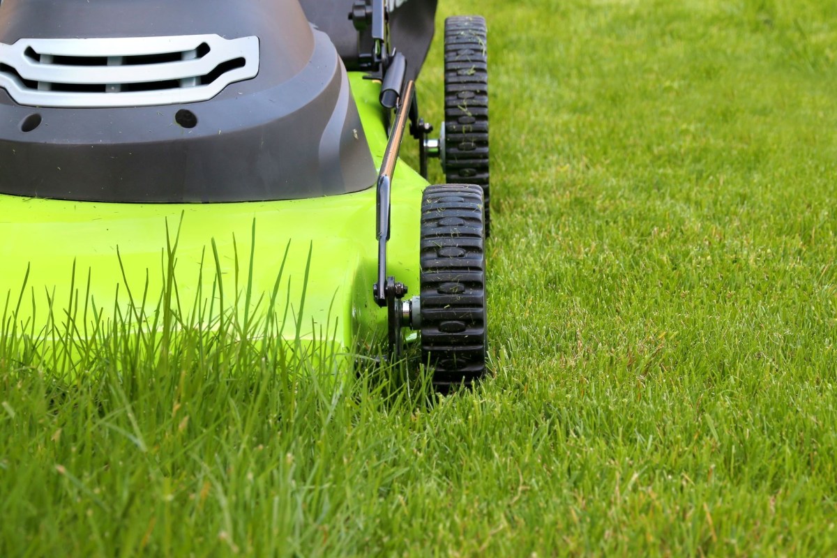 Kobalt electric lawn mower