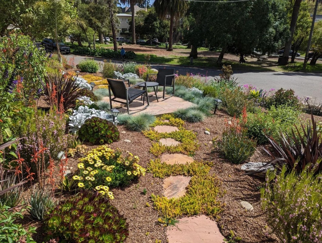 Native lawns