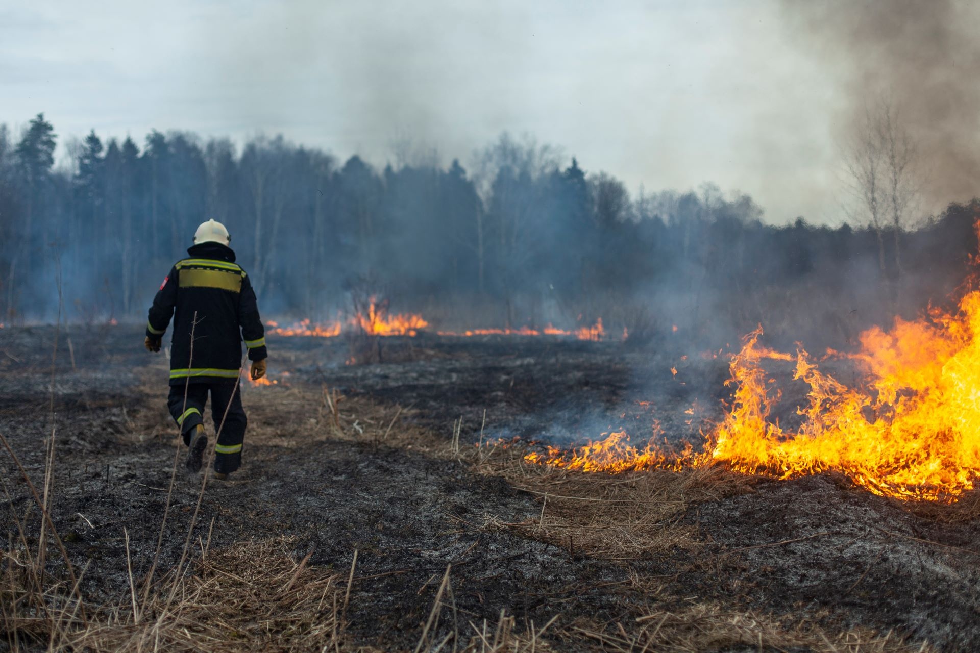 Wildfires getting worse across the East Coast