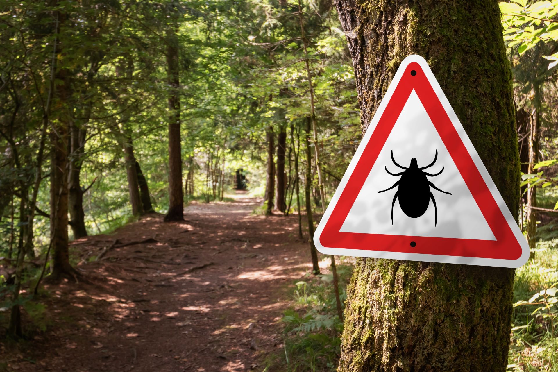 Lyme disease risk as temperatures increase