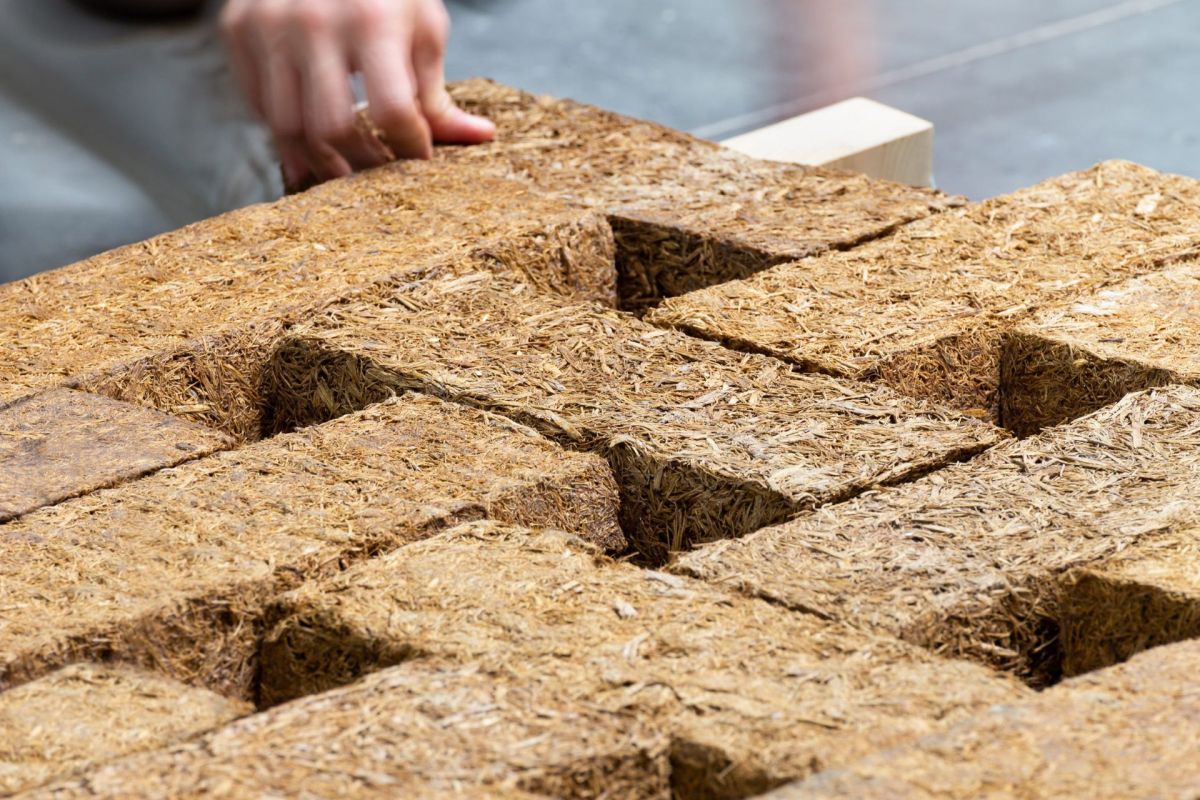 Sugarcrete bricks made out of sugarcane