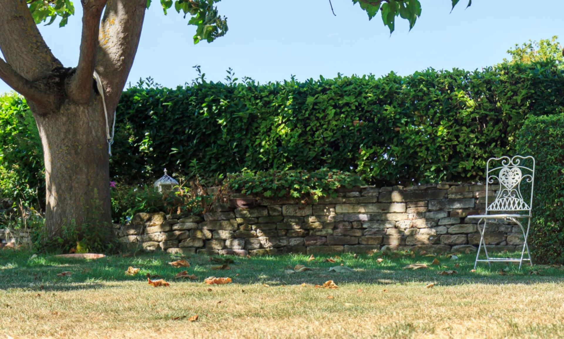 Sstunning yard filled with native plants