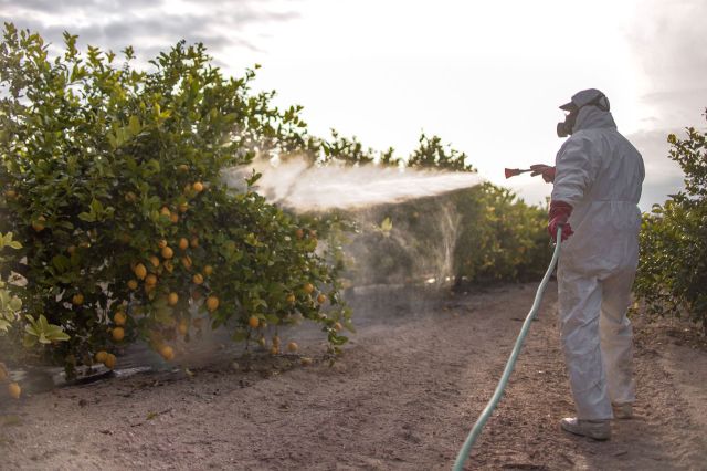 Neonics, toxic pesticide found in 'half the American population