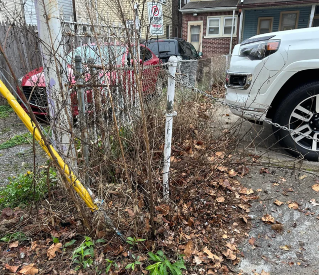 Resident helps clean Allentown with 'trash lasagna'